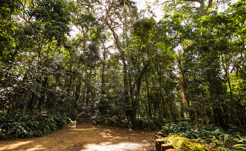Parque Alfredo Volpi